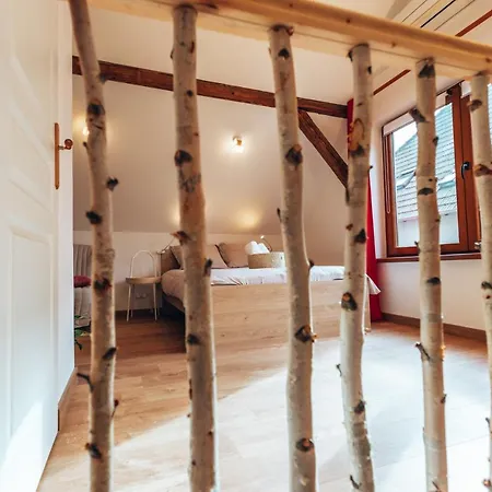 Holiday home Aux Cerfs Des Vignes - L'annexe *